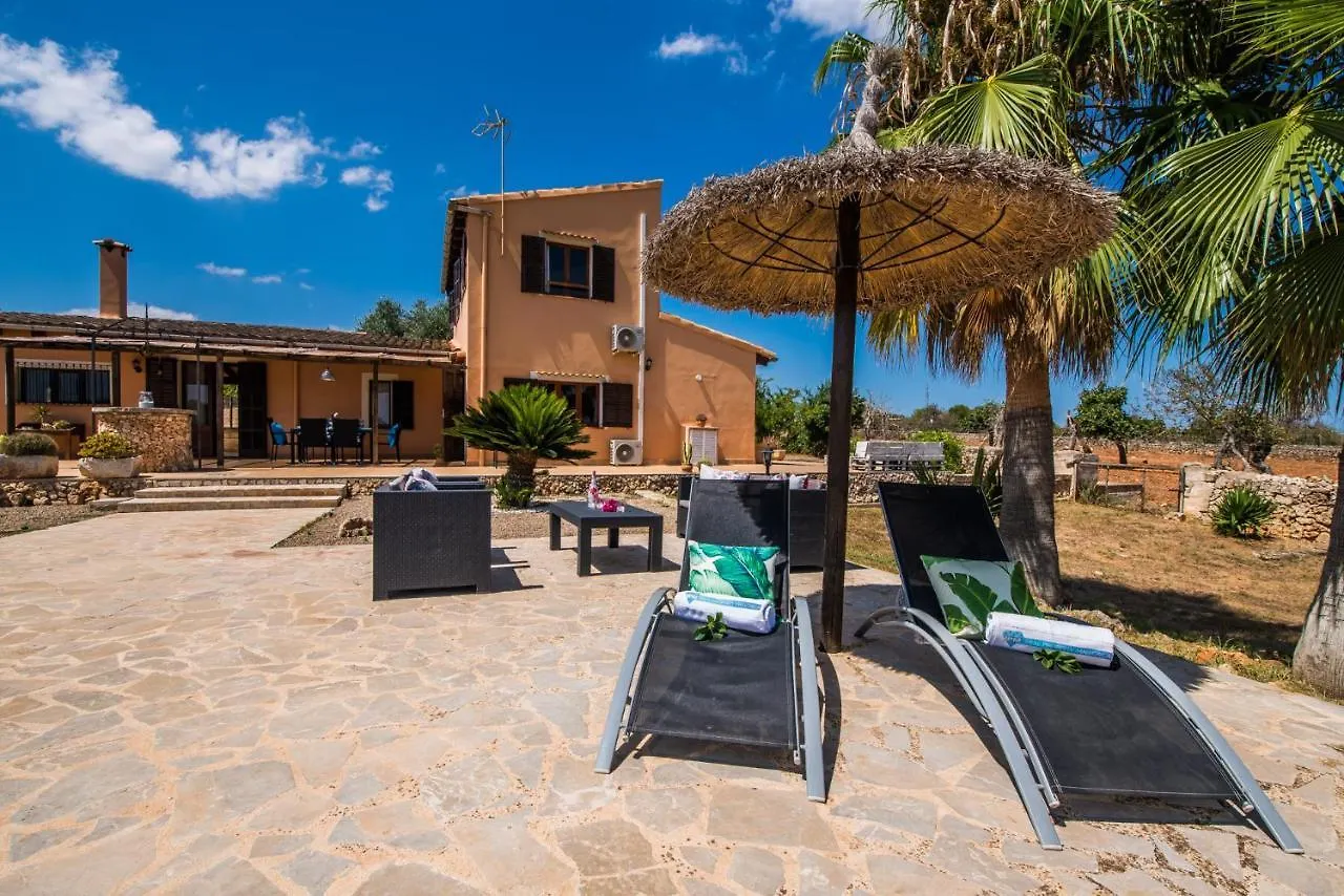 Ideal Property Mallorca - Can Frit Santa Margarita  Spain