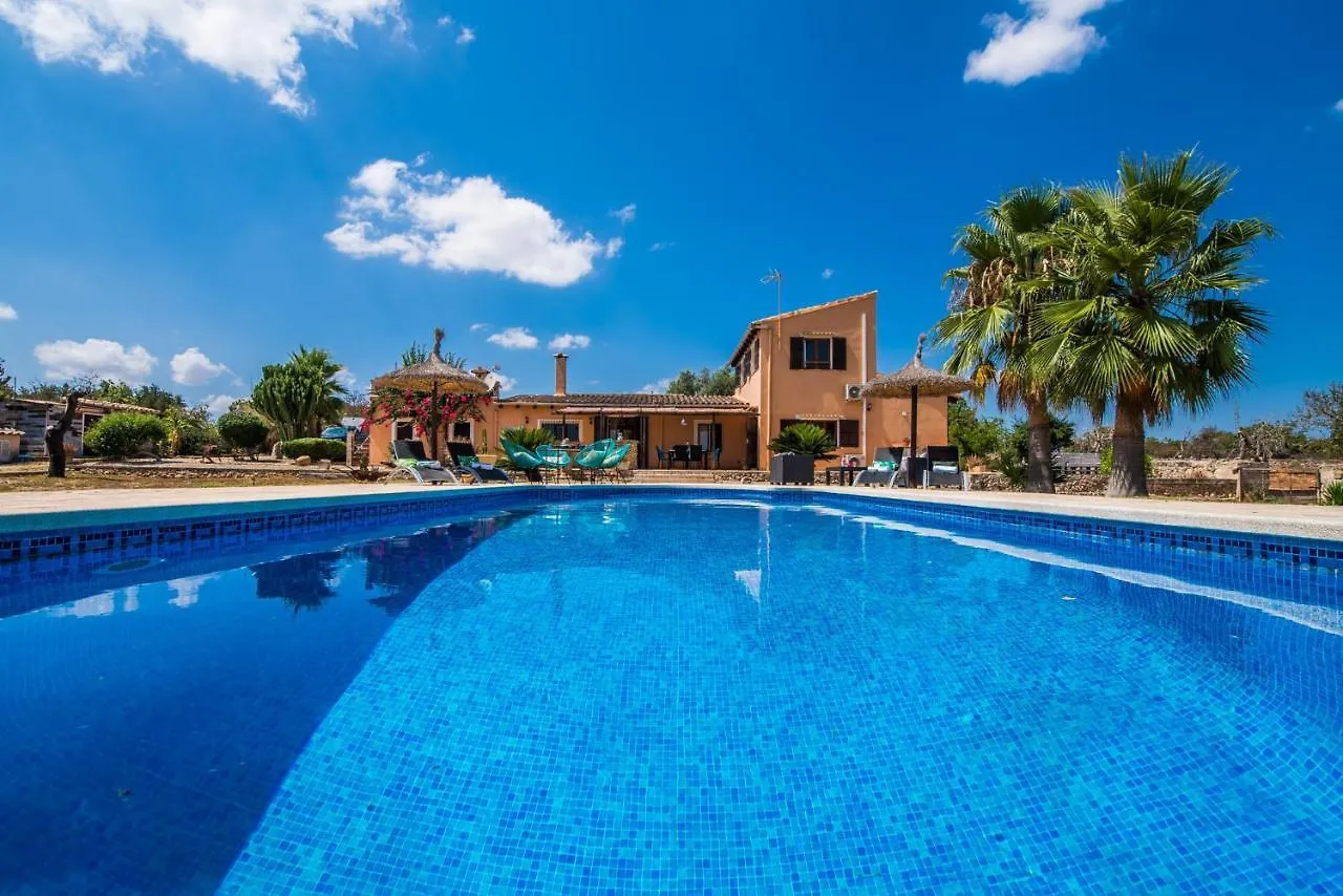 Ideal Property Mallorca - Can Frit Santa Margarita  Santa Margarita (Mallorca)