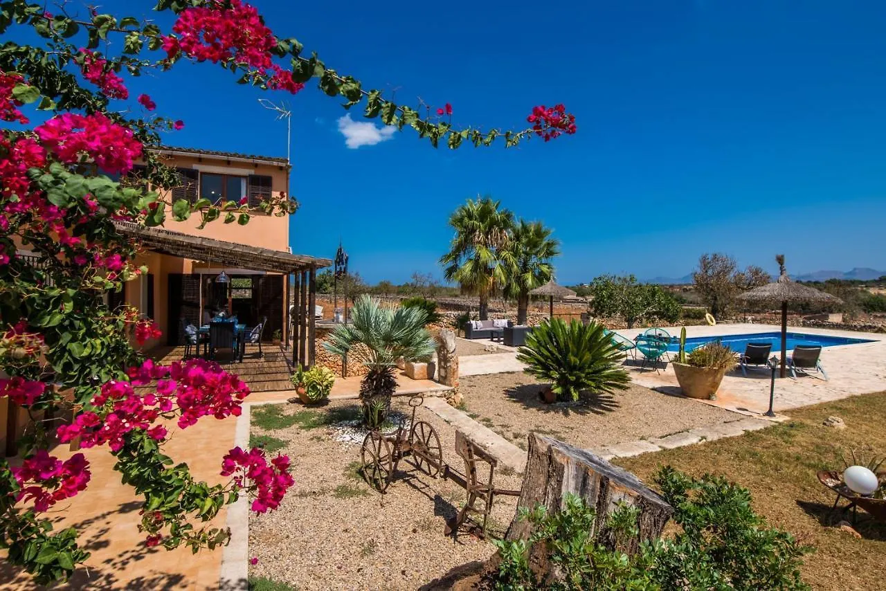 Ideal Property Mallorca - Can Frit location